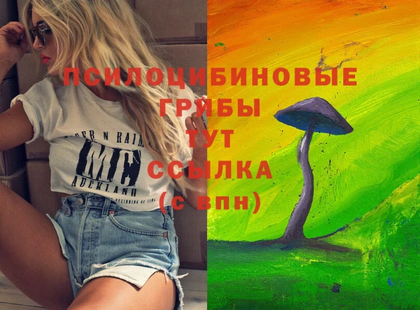 прущие крисы Корсаков
