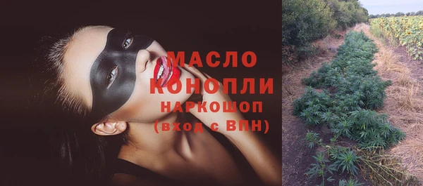 шишки Няндома