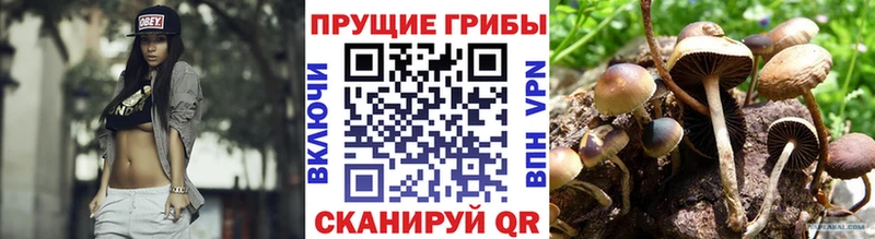 Галлюциногенные грибы мицелий  купить наркотик  Лиски 
