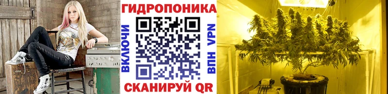 darknet Telegram  как найти закладки  Лиски  Конопля тримм 